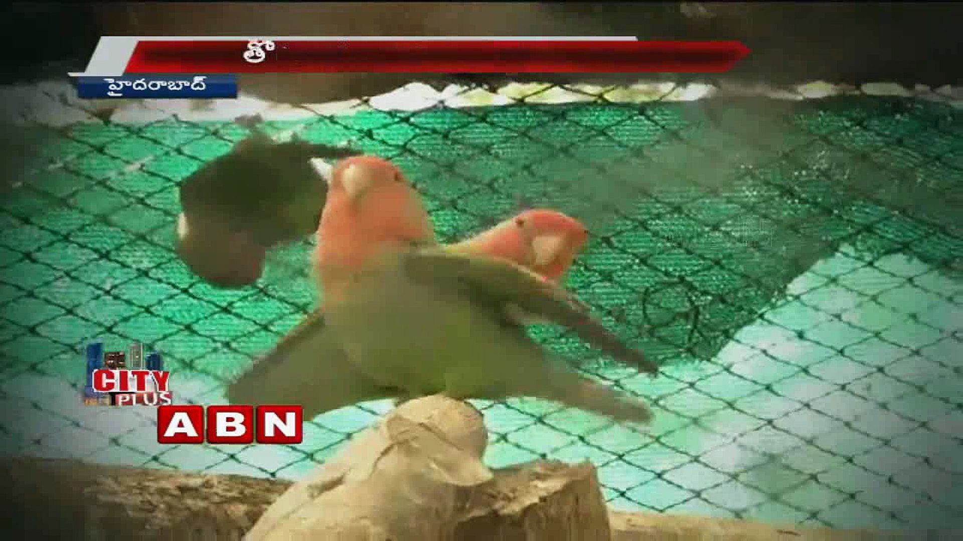 ⁣Hyderabad Zoo animals got partners (17-02-2017)