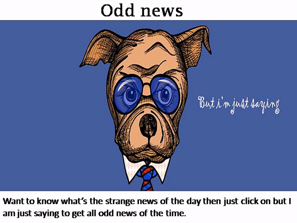 Odd news - butiamjustsaying.com