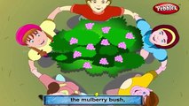 Mulberry Bush Karaoke with Lyrics | Nursery Rhymes Karaoke with Lyrics