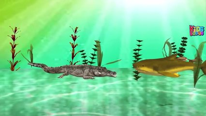 Shark Finger Family Children Rhymes | Crocodile Finger Family Nursery Songs | Animals Cart