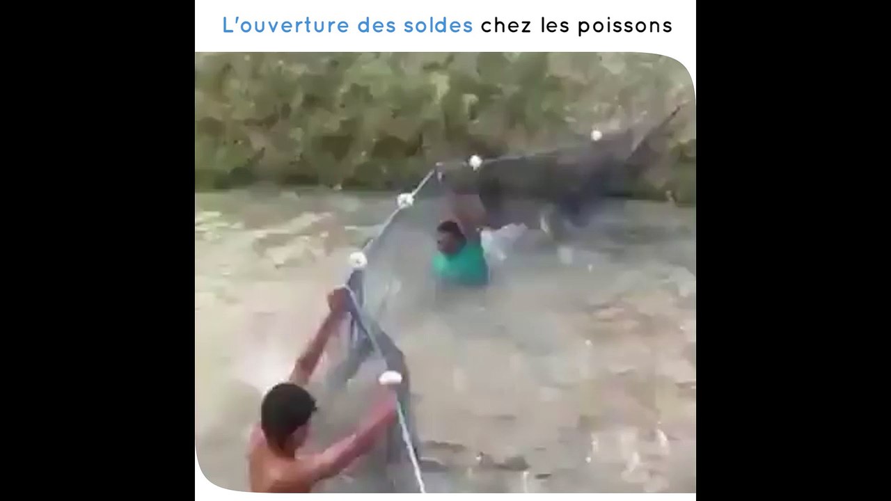 des poissons chargent deux pauvres pécheurs