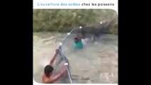 des poissons chargent deux pauvres pécheurs