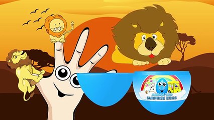 Finger Family Lion | Surprise Eggs Nursery Rhymes | Animal Finger Family Song for Kids Toddlers Baby