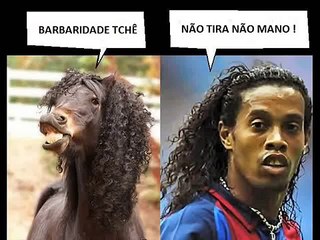 100 IDÉIAS E FRASES CURIOSAS DE PARACHOQUE DE CAMINHÃO