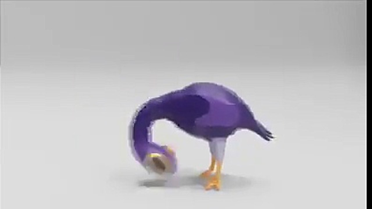 funny_n fighting