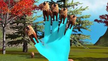 3D Animated Lion Finger Family Rhymes For Children | Lion Family Finger Rhymes
