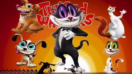 The Twisted Whiskers Show new Finger Family | Nursery Rhyme for Children | 4K Video
