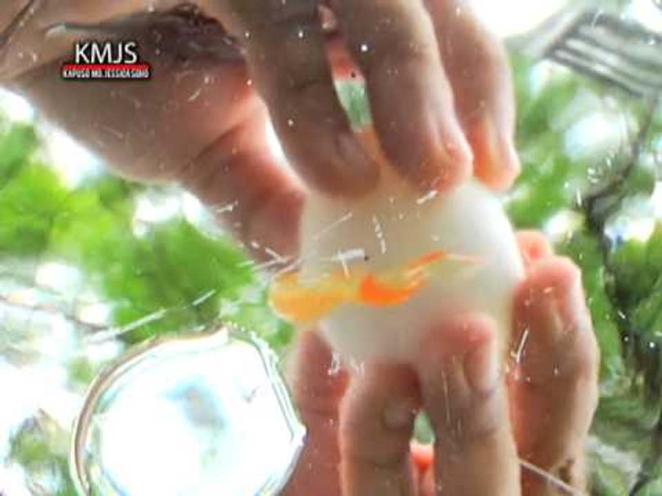 Kapuso Mo, Jessica Soho: Leche flan in jars and...