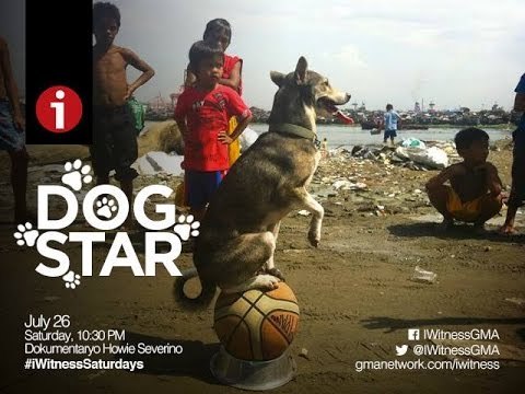 I-Witness: Dog Star , a documentary by Howie Severino (full episode)