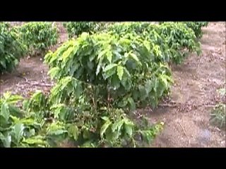 BLOGDOANDERSON | BMD: quinta-feira, 16 de Fevereiro de 2016