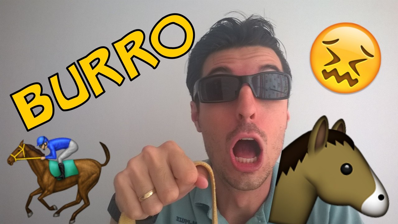 Burro - omagrelinho