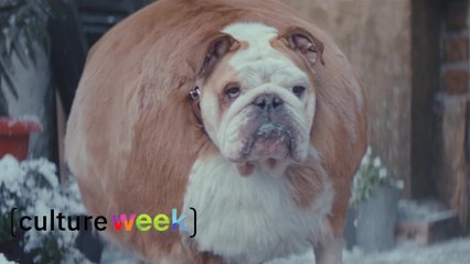 Culture Week by Culture Pub : enquête criminelle et monde de gros