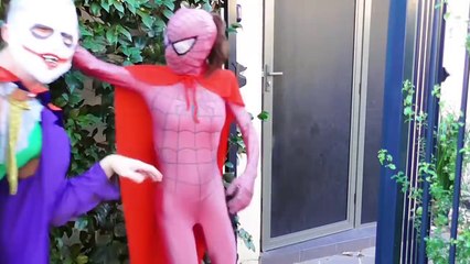 Spiderman POO COLORED BALLS with Pink SpiderGirl PREGNANT vs Joker Funny Superhero Compila