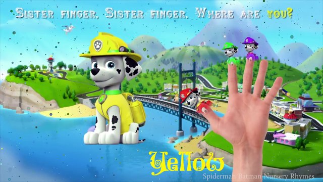 PAW PATROL MARSHALL Finger Family Nursery Rhymes | Daddy finger pups song