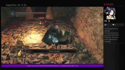 Dark Souls 2: Hi! :D I Made It So Far! XD (37)