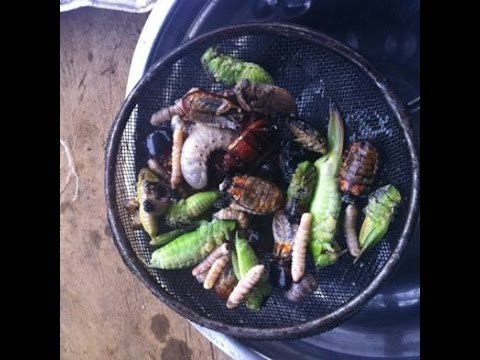 I-Witness: Ang Ulam Kong Insekto , a documentary by Howie Severino (full episode)