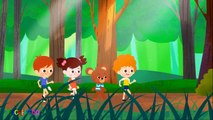 Promenons nous dans les bois - comptine pour enfant - chanson bébé