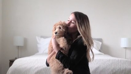 This smart collar will make pet care a walk in the park