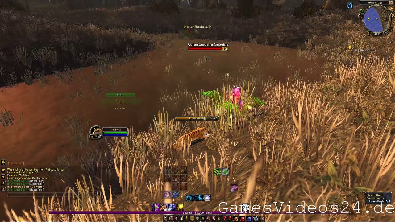 World of Warcraft Quest: Der Hexenfluch