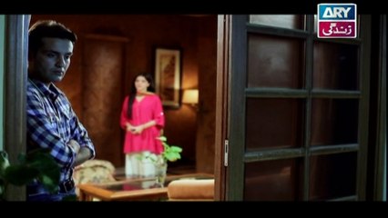Main Bushra Episode 20 - on ARY Zindagi in High Quality 16th February 2017