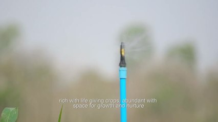 Thailand Farm (Longer Version)