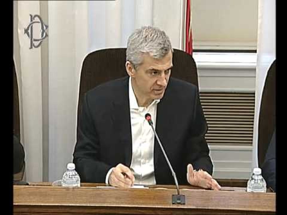 Roma - Audizione Piacentini (15.02.17)