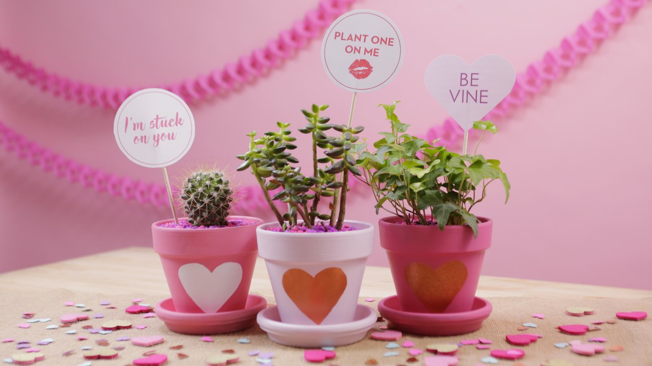 How to Make Punny Valentine's Day Plants