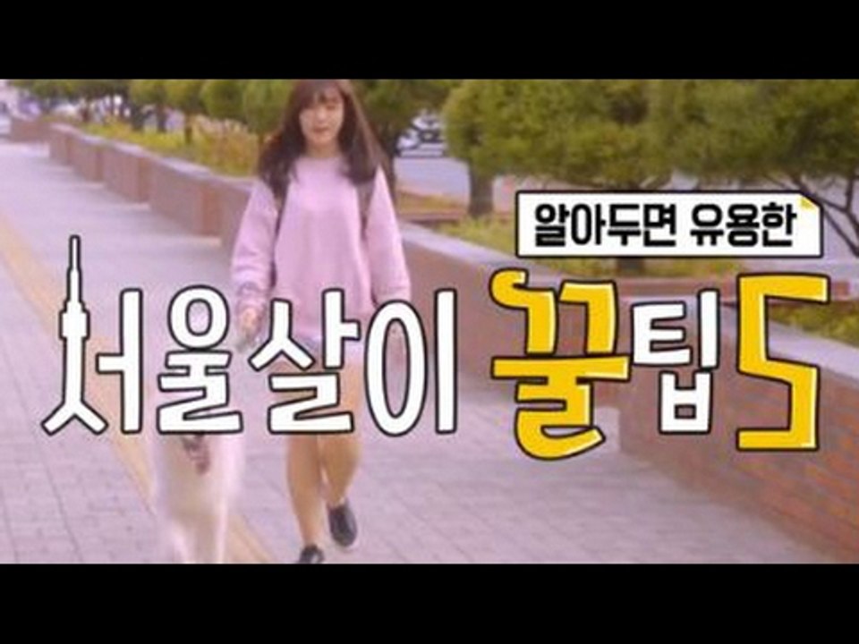 서울살이 꿀팁 5