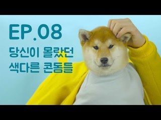 [세시바] #8 당신이 몰랐던 색다른 콘돔들