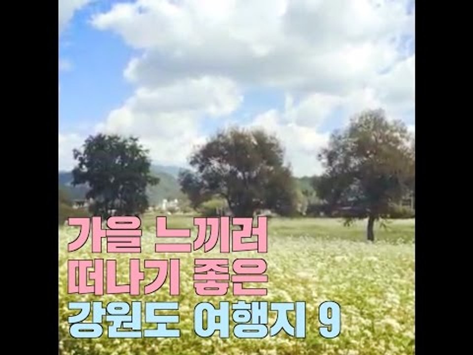 가을 느끼러 떠나기 좋은 강원도 여행지 9