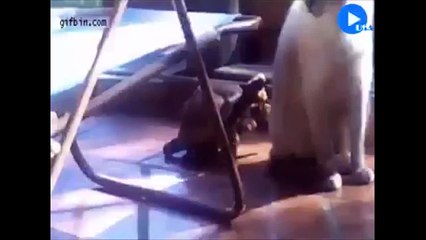 OMG !!! Mga bwiset na 'to. Di ko kinaya! HAHAHA 