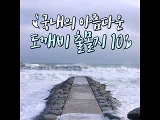 [10가지 추천콘텐츠] 국내의 아름다운 도깨비 출몰지 10
