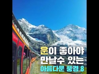 운이 좋아야 만날 수 있는 아름다운 풍경 9