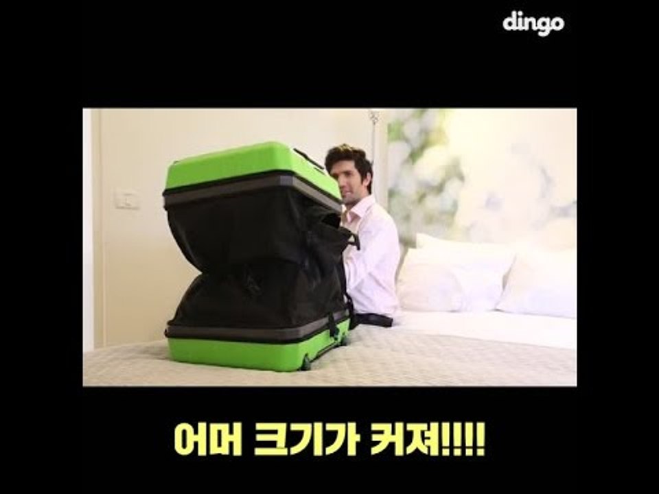 지구 상에 존재하는 가장 말도 안되는 캐리어 5