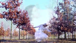 Zaalima - Dance Cover - Elif Khan - Raees