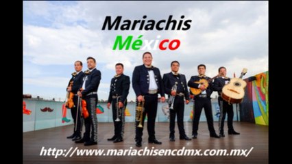 Mariachis Económicos Gustavo A. Madero T. 10552693