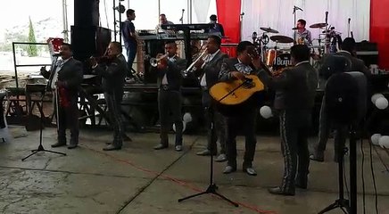 Mariachis Económicos Venustiano Carranza T. 24879953