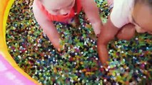 Crazy!! Messy Orbeez Pool Challenge In Our House! Daddy Freaks Out! Shopkins Toys