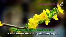 Hạnh Phúc Xuân Ngời Karaoke - Beat Chuẩn (Noo Phước Thịnh)