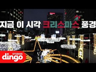 [여행 DJ] 낭만적인 2015 크리스마스 거리풍경