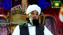 Muhammad Raza Saqib Mustafai 2017 Dehshat gardi ki maojooda lehar