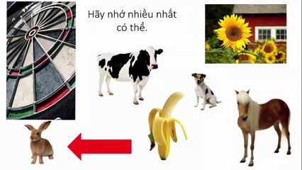 Bạn có TRÍ NHỚ TỐT hay không