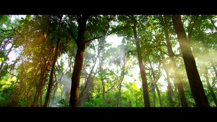 Vanamagan - Official Teaser   Jayam Ravi   Vijay   Harris Jayaraj   Thirunavukkarasu
