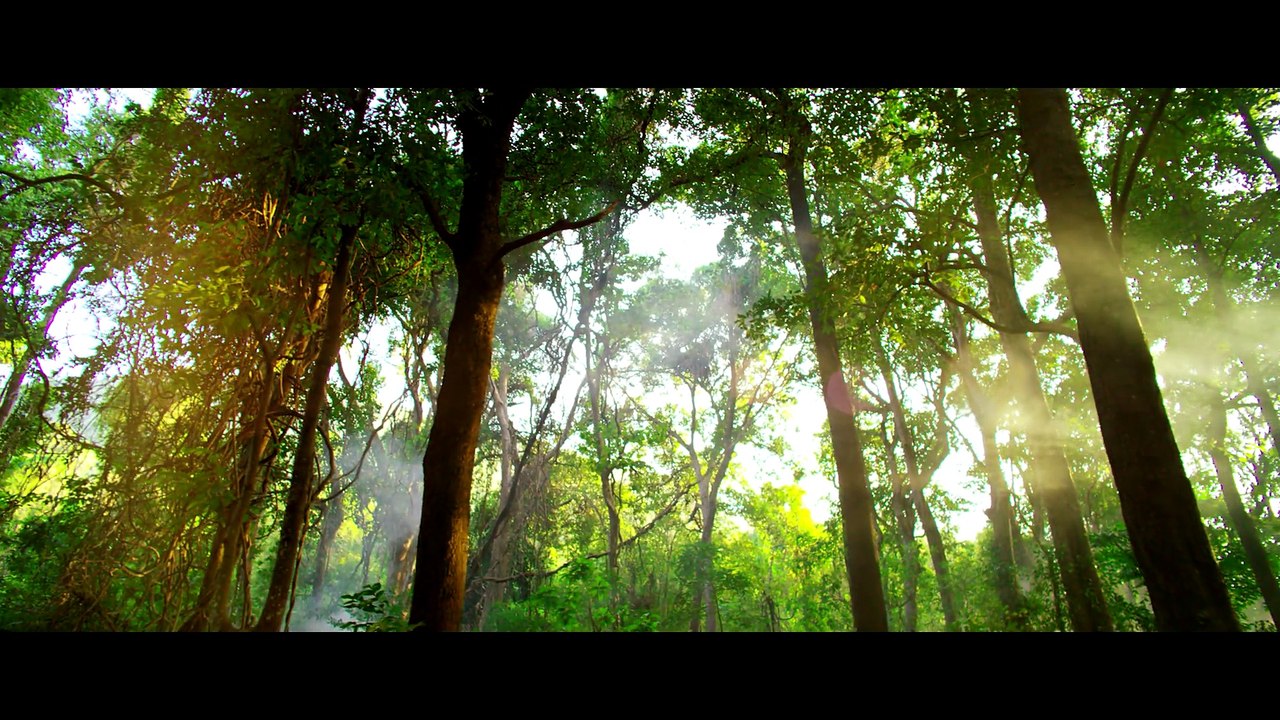 Vanamagan - Official Teaser   Jayam Ravi   Vijay   Harris Jayaraj   Thirunavukkarasu