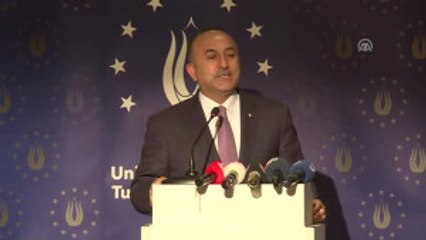Dışişleri Bakanı Çavuşoğlu Almanya'da (2)