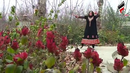 Download Video: Pashto New Songs 2017 Shahsawar & Sitara Younas - Da Yo Zargi Na Bel Ta Lar Wee