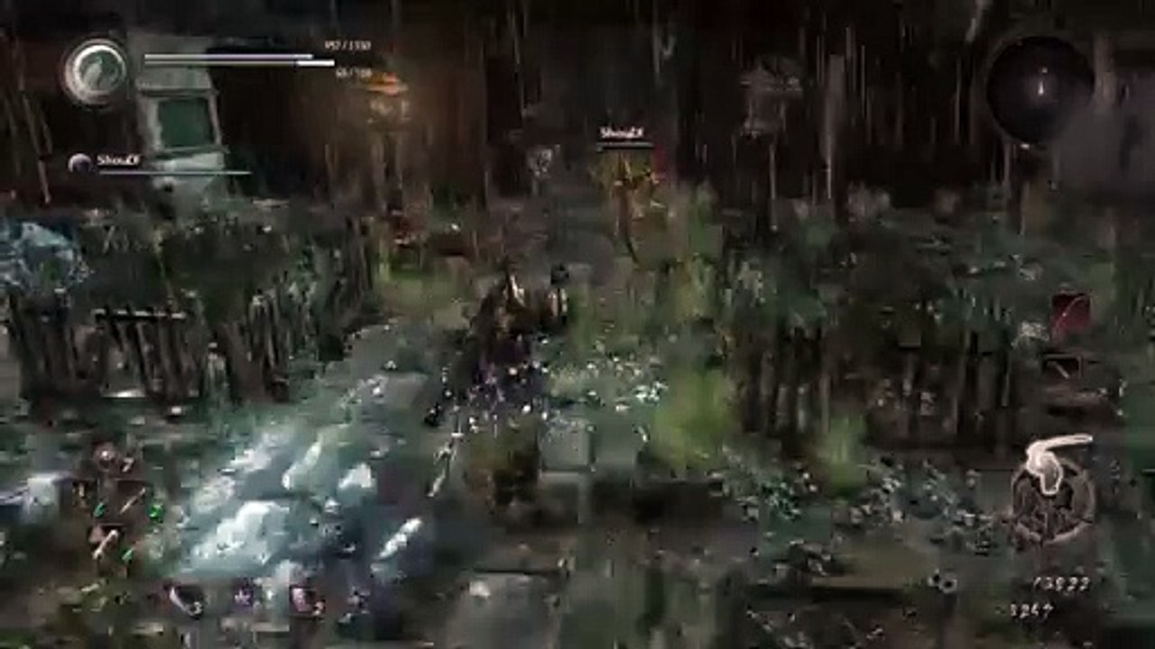 Nioh (21)
