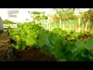 Biyahe ni Drew: Pick your own organic veggies in Quezon Province