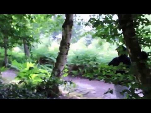 Jann Halexander feat Mc Coco ' Déracinés Quand Même' Instrumentale Originale 2014