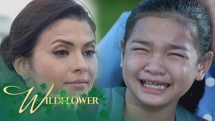 Wildflower: Lily will seek revenge! | EP 4